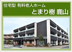 とまり樹（とまりぎ） 鹿山